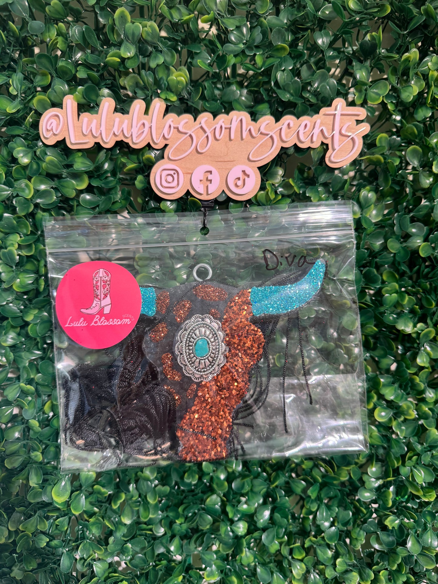 Steer Freshie - Diva