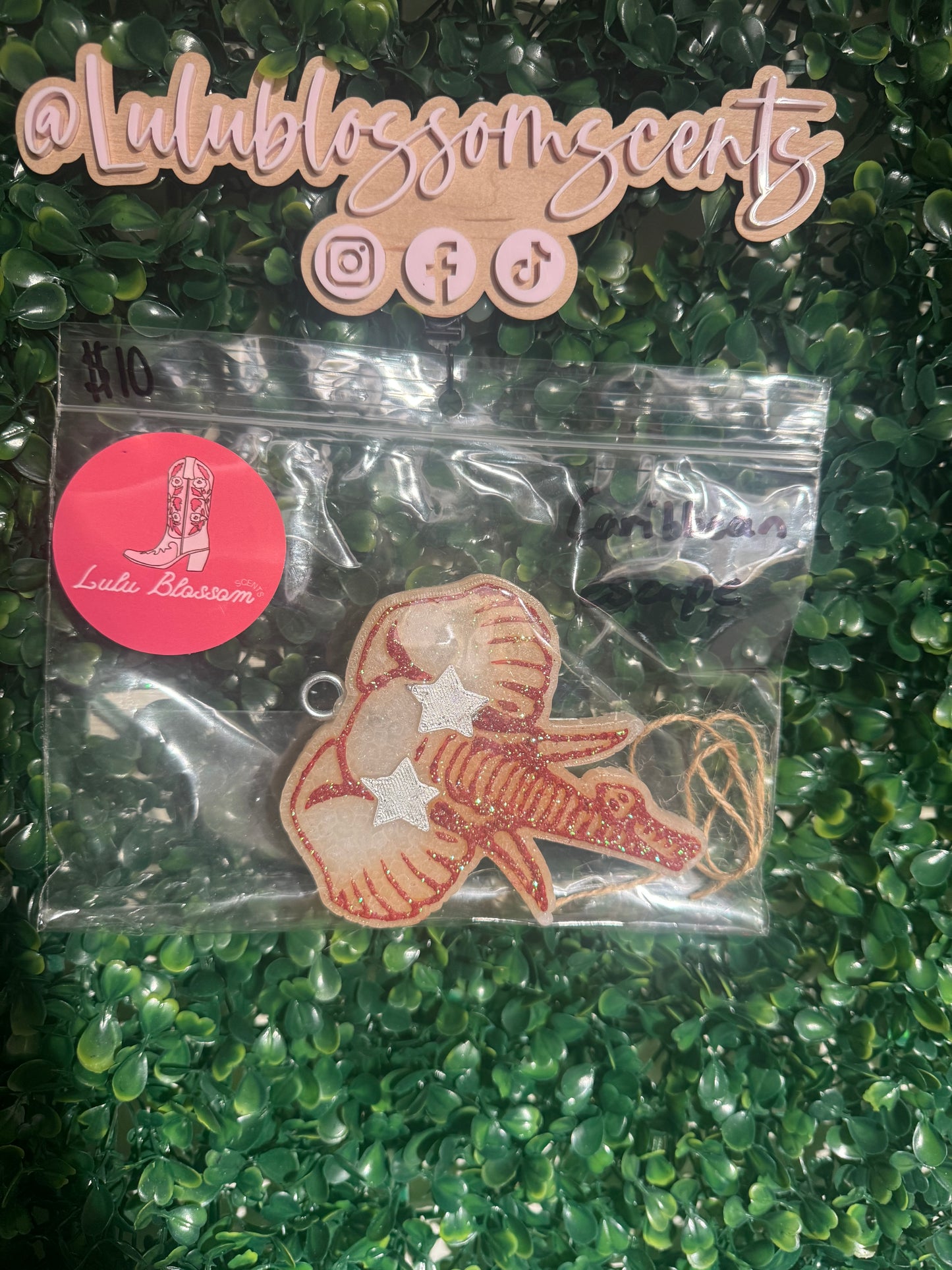 Elephant Freshie - Caribbean Escape