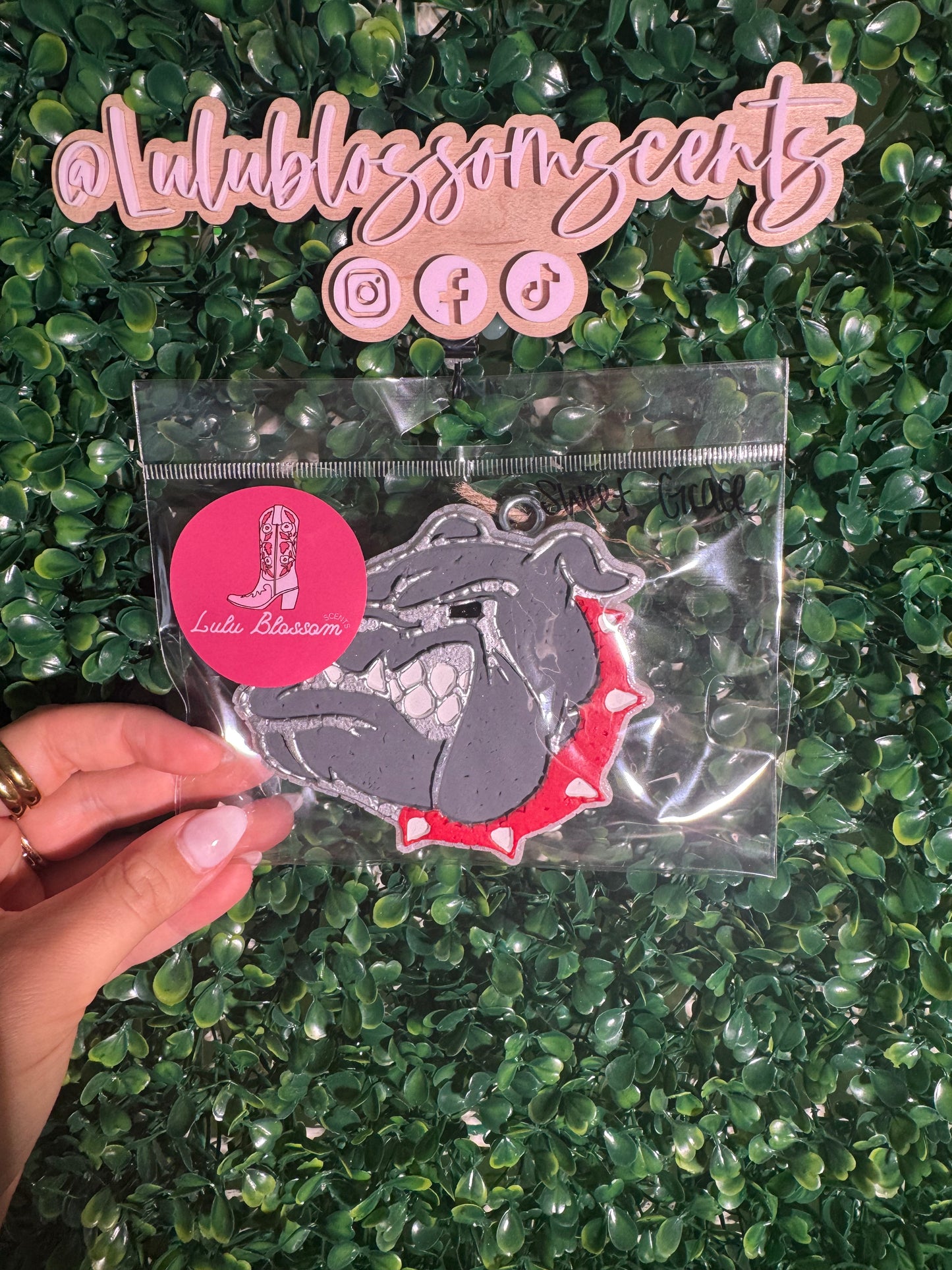 UGA Freshie - Sweet Grace